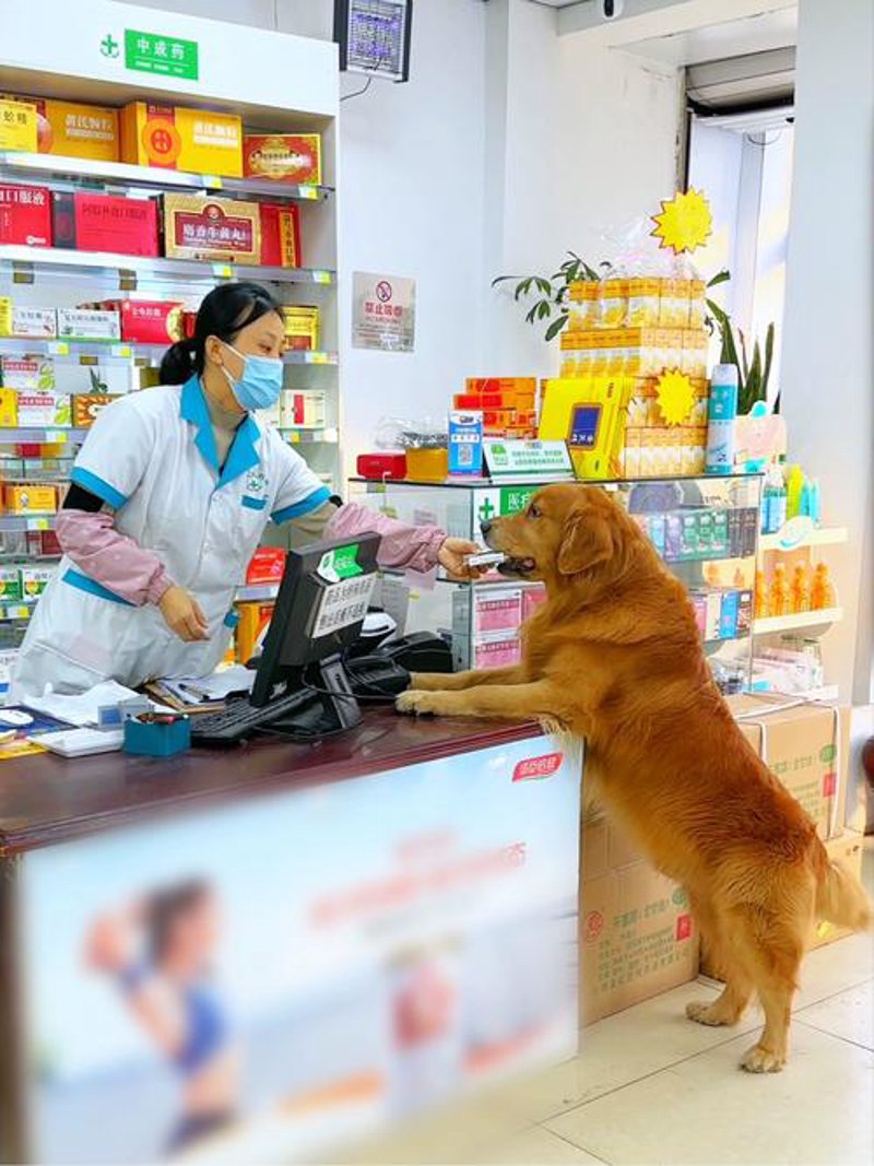代买代送服务在购物体验中的重要性